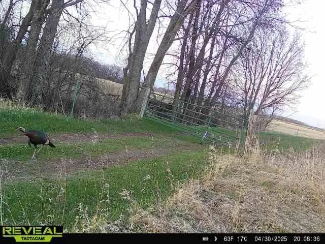 $1,250,000 | 37791 390th Avenue, Aitkin, MN 56431