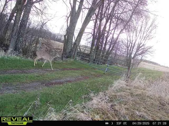 $1,250,000 | 37791 390th Avenue, Aitkin, MN 56431