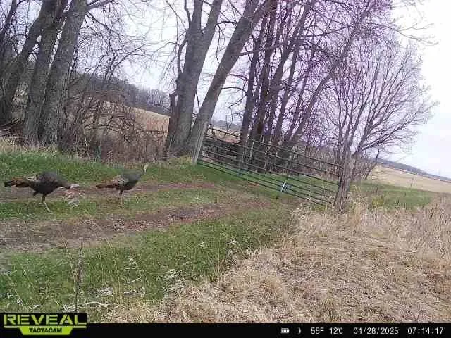 $1,250,000 | 37791 390th Avenue, Aitkin, MN 56431