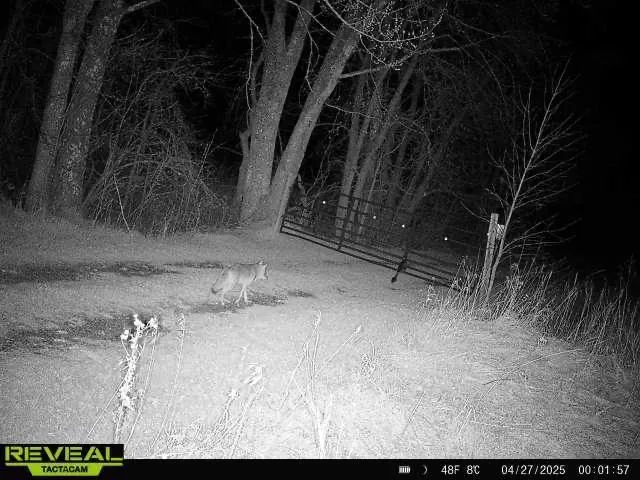 $1,250,000 | 37791 390th Avenue, Aitkin, MN 56431