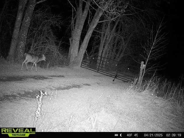 $1,250,000 | 37791 390th Avenue, Aitkin, MN 56431