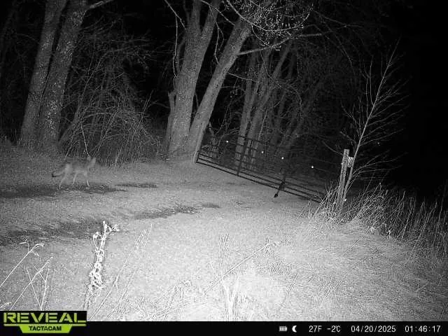 $1,250,000 | 37791 390th Avenue, Aitkin, MN 56431