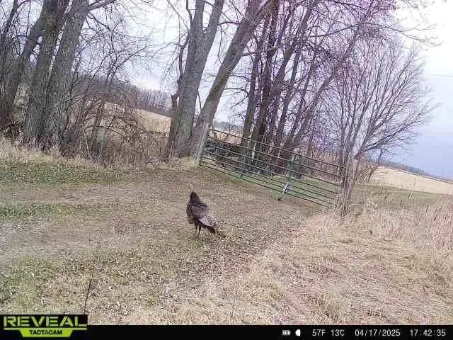 $1,250,000 | 37791 390th Avenue, Aitkin, MN 56431