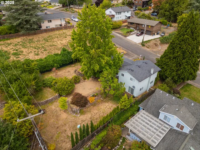 a backyard of a house with a garden and plants
