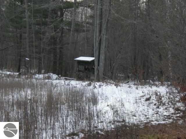 5340 Allen Road Alger, MI 48610 - Photo 30 of 32 1758613-30.JPG