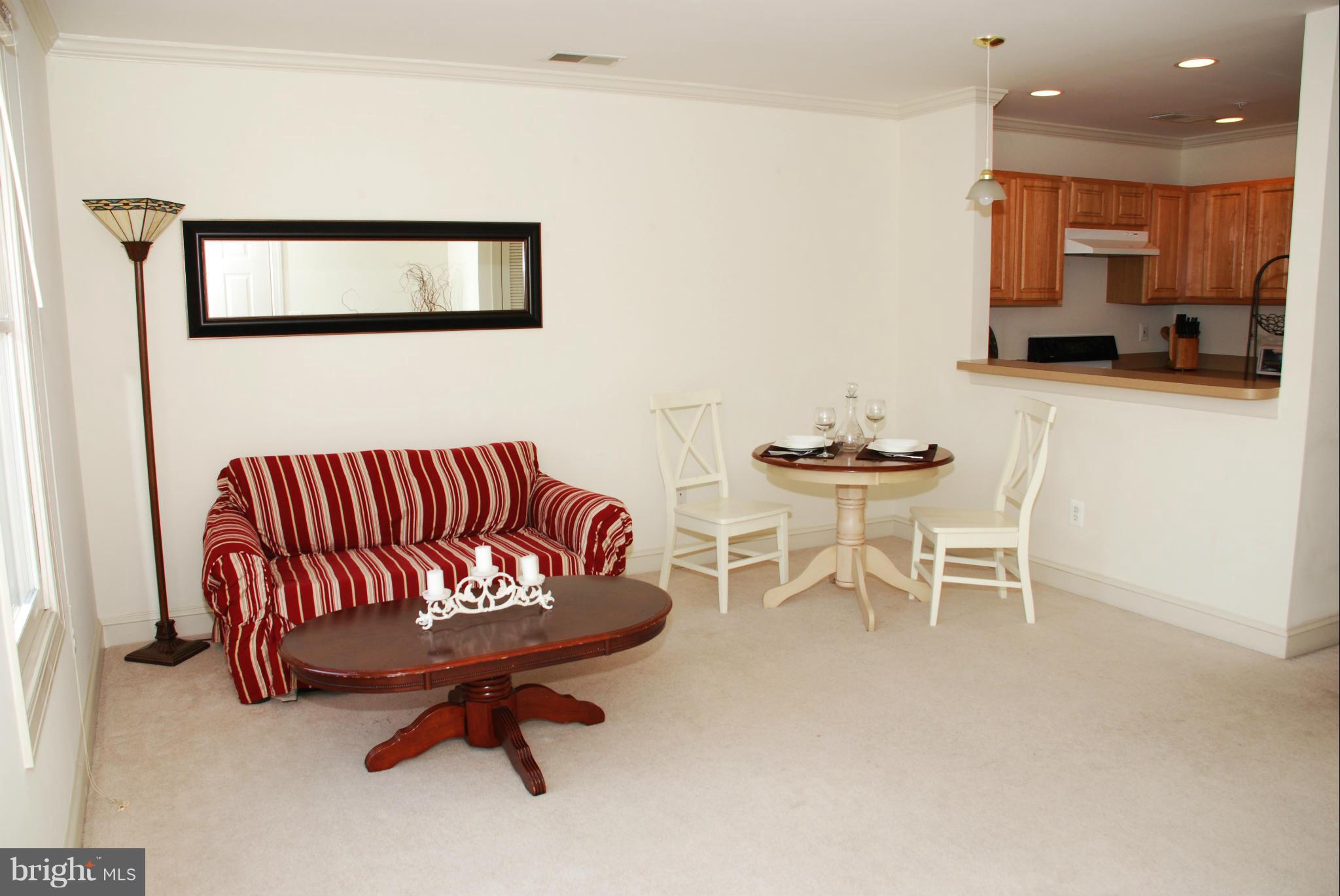 104 Dry Mill Road Southwest, Unit 202 Leesburg, VA 20175 - Photo 2 of 14 Main Area