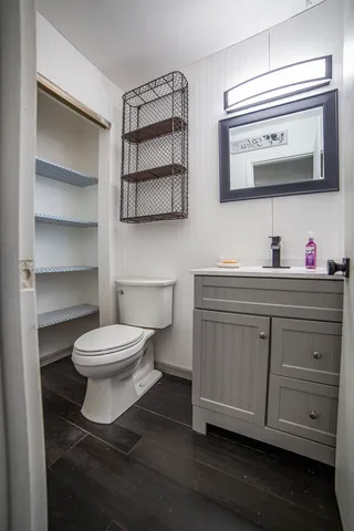 a bathroom with a toilet a sink and mirror