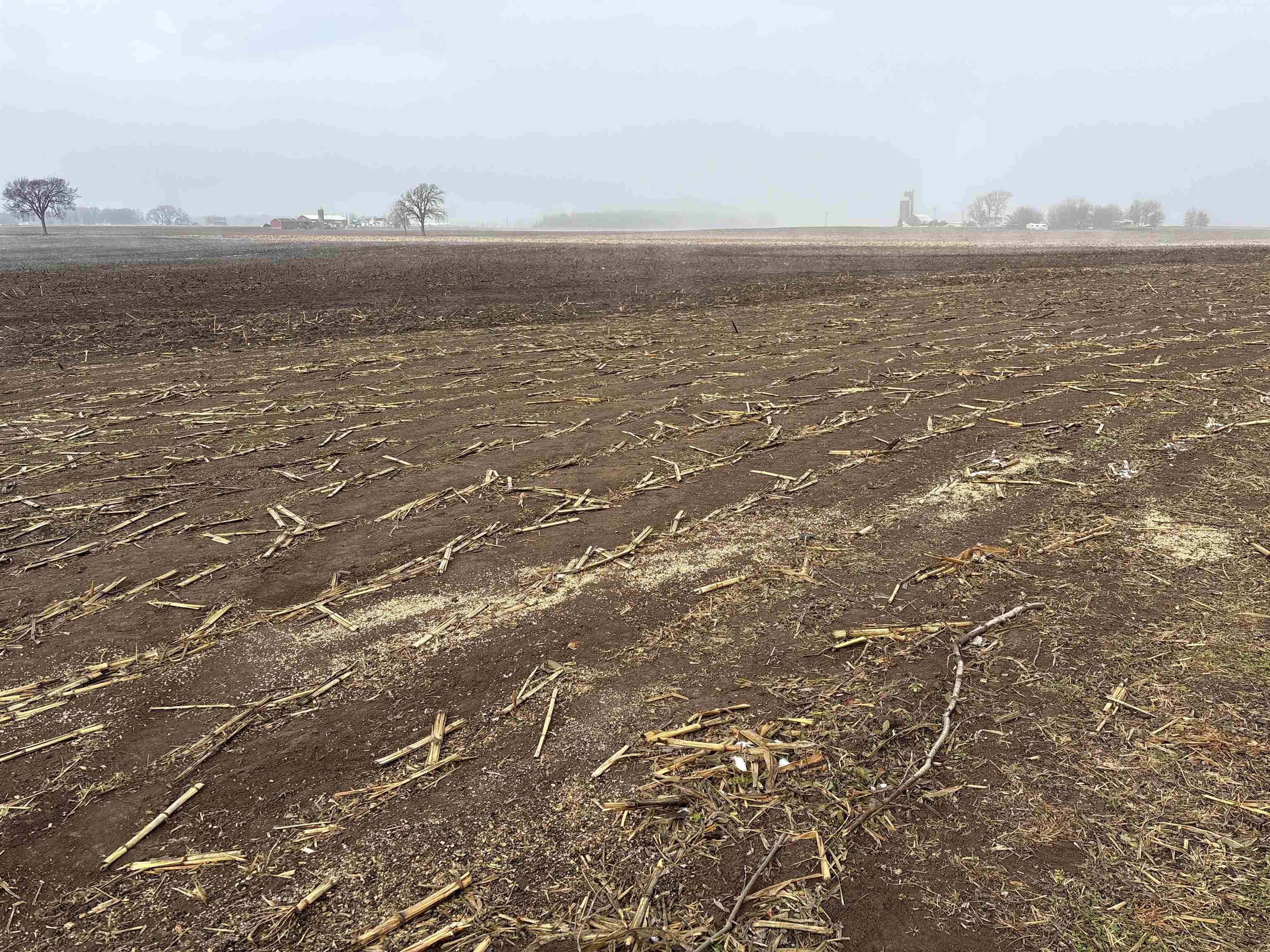 N9170 Schultz Road Van Dyne, WI 54979 - Photo 50 of 51