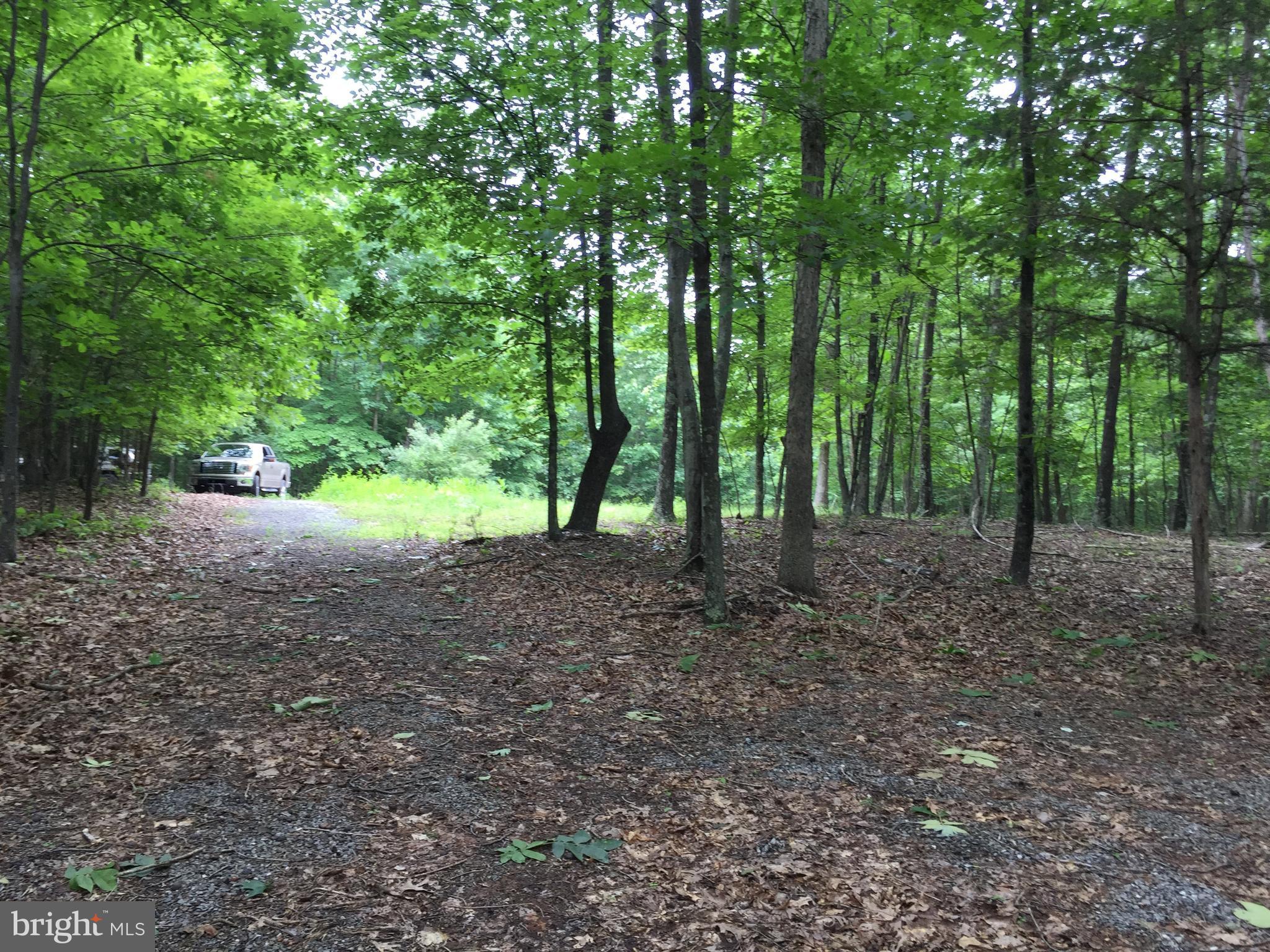 Spohrs Road Berkeley Springs, WV 25411 - Photo 11 of 19 a view of outdoor space and trees