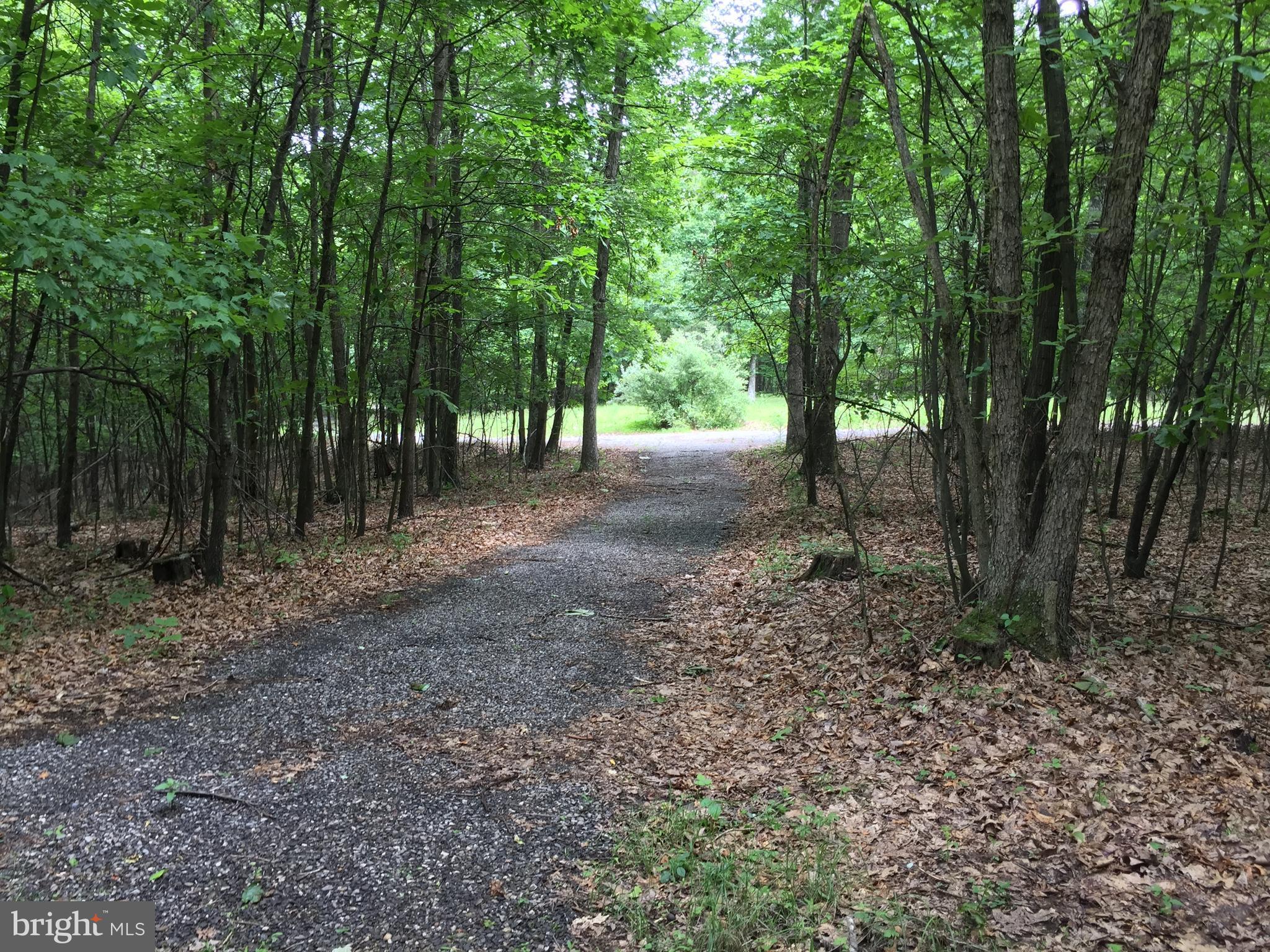 Spohrs Road Berkeley Springs, WV 25411 - Photo 13 of 19 a view of a forest with trees in the background