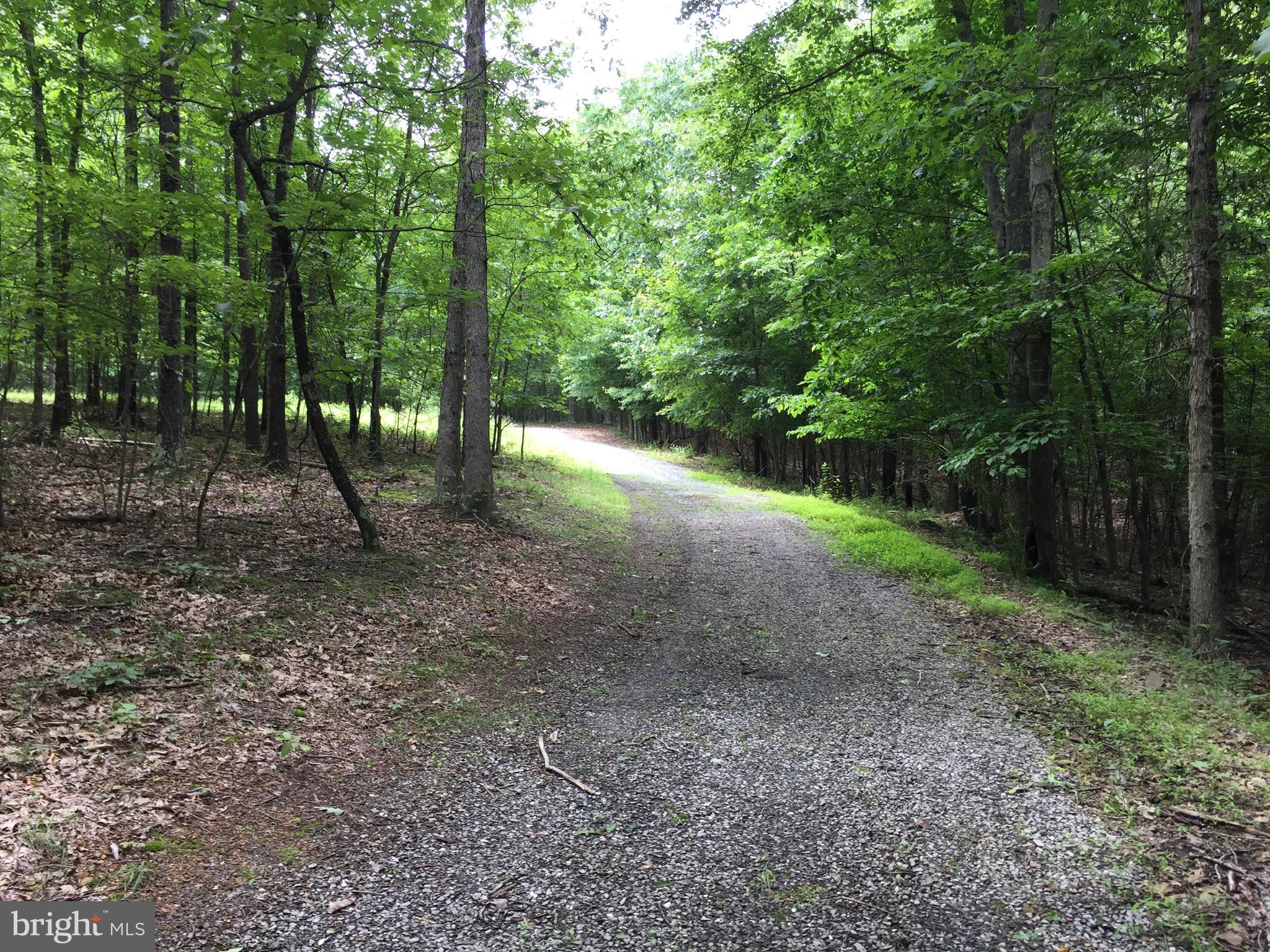 Spohrs Road Berkeley Springs, WV 25411 - Photo 16 of 19 a view of outdoor space with trees