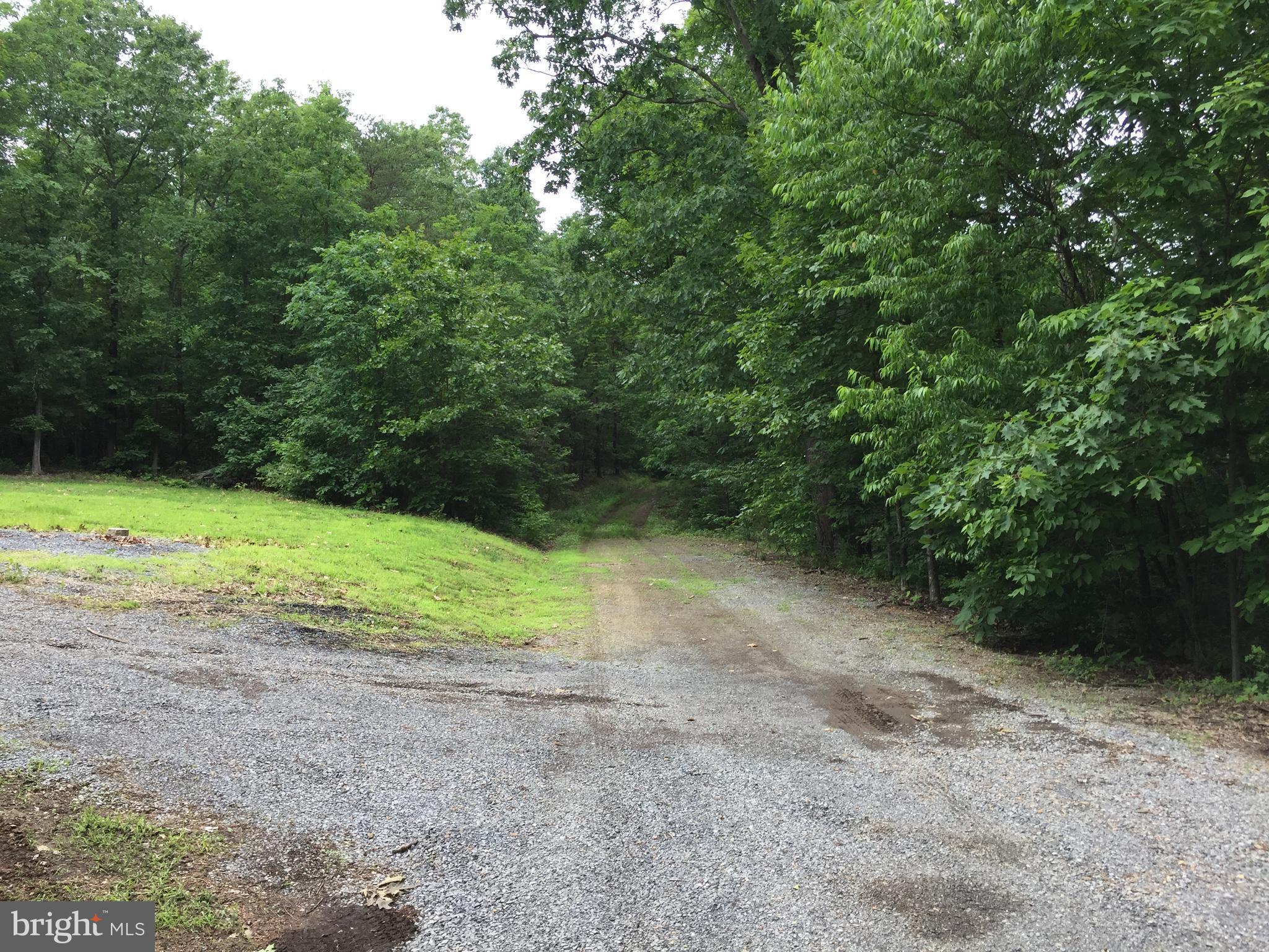 Spohrs Road Berkeley Springs, WV 25411 - Photo 19 of 19 a view of outdoor space with trees all around