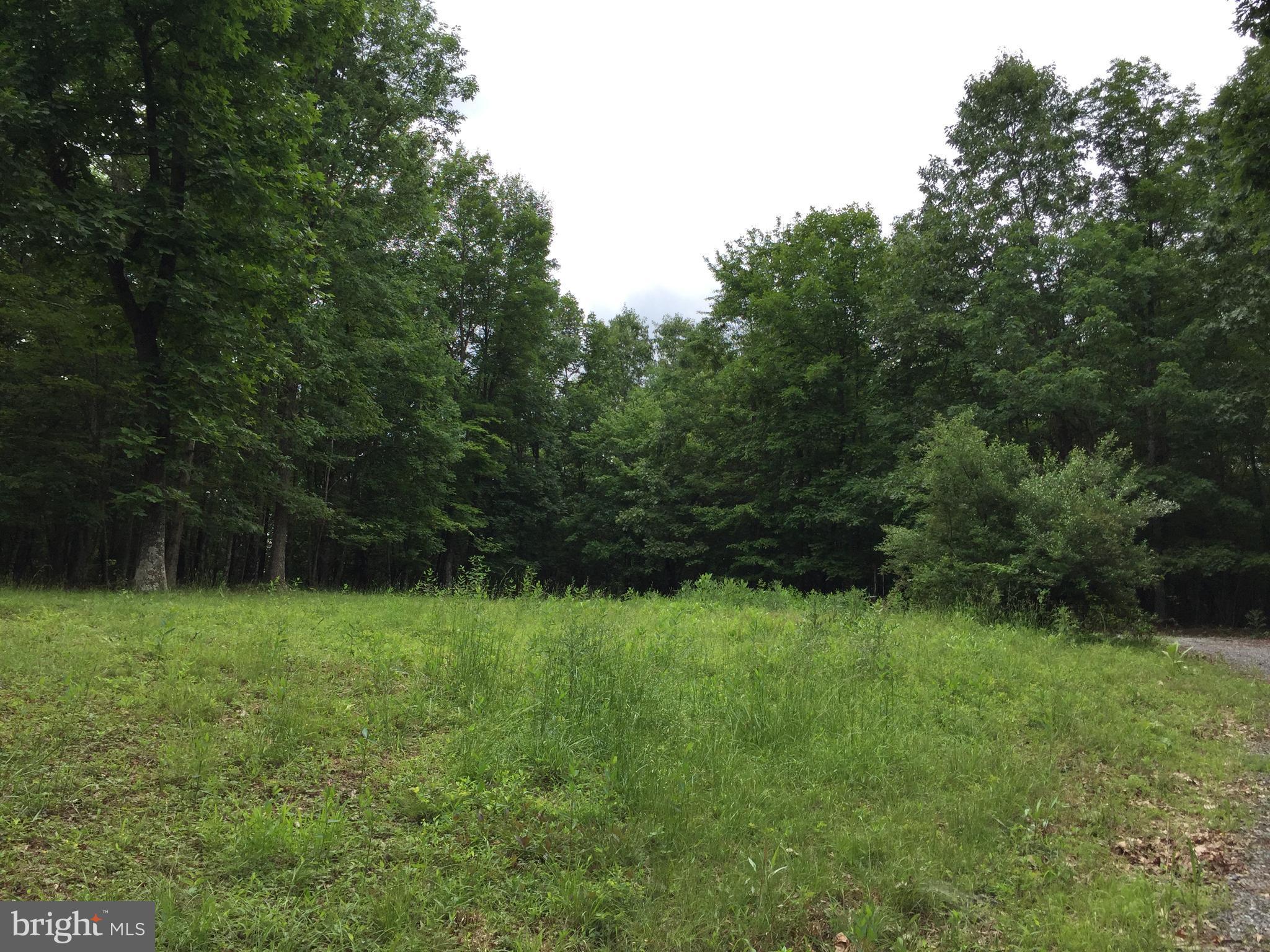 Spohrs Road Berkeley Springs, WV 25411 - Photo 5 of 19 a view of a green yard
