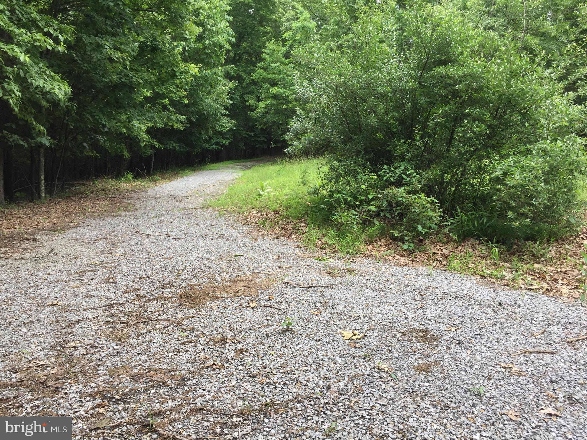 Spohrs Road Berkeley Springs, WV 25411 - Photo 6 of 19 a view of a yard with plants and large trees