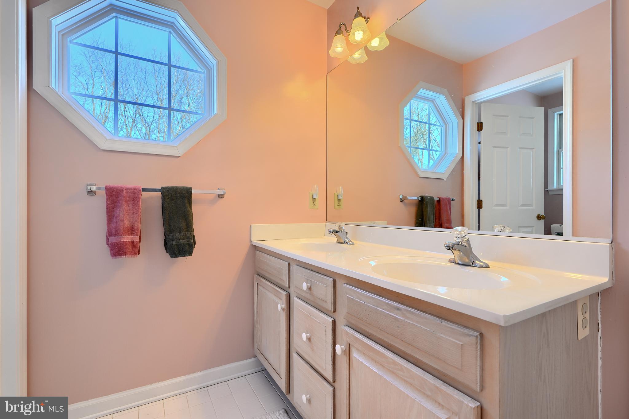 19824 Valley Mill Road Freeland, MD 21053 - Photo 47 of 72 a bathroom with a sink vanity and a mirror
