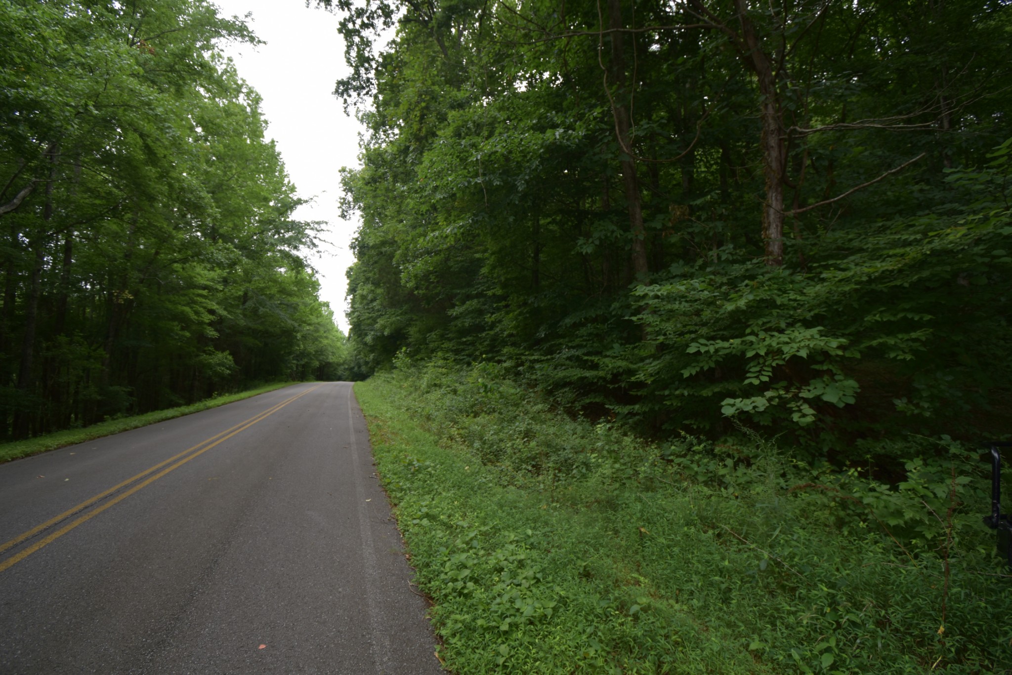 789 Wilsdorf Road Linden, TN 37096 - Photo 8 of 8 Gallery Image 8