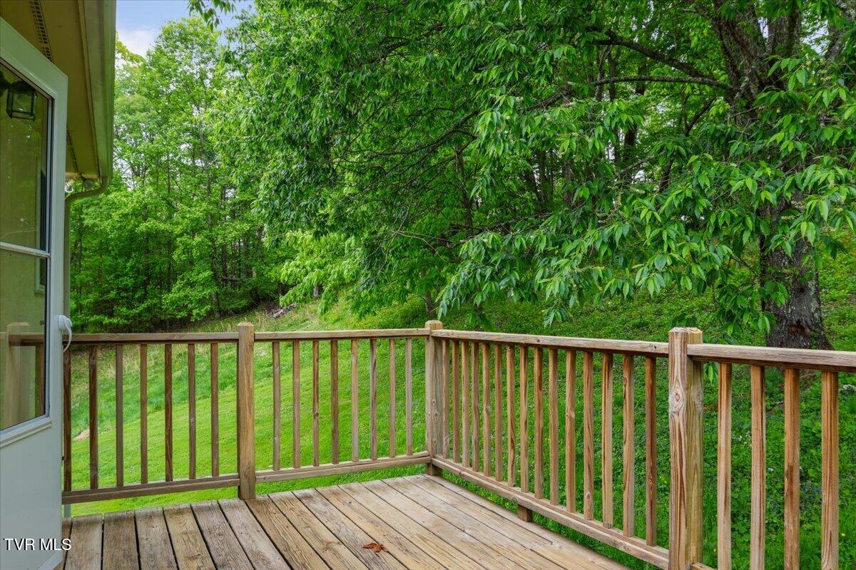 809 Ragan Road Trade, TN 37691 - Photo 29 of 42 29-IMG_7675