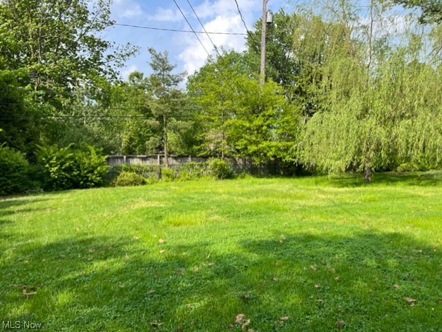 15901 Onaway Road Cleveland, OH 44120 - Photo 3 of 4 Rear portion of lot