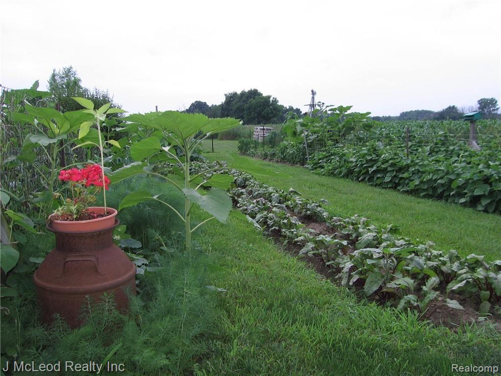 10104 Currier Road Millington, MI 48746 - Photo 25 of 33 2013 down on the farm 010.JPG