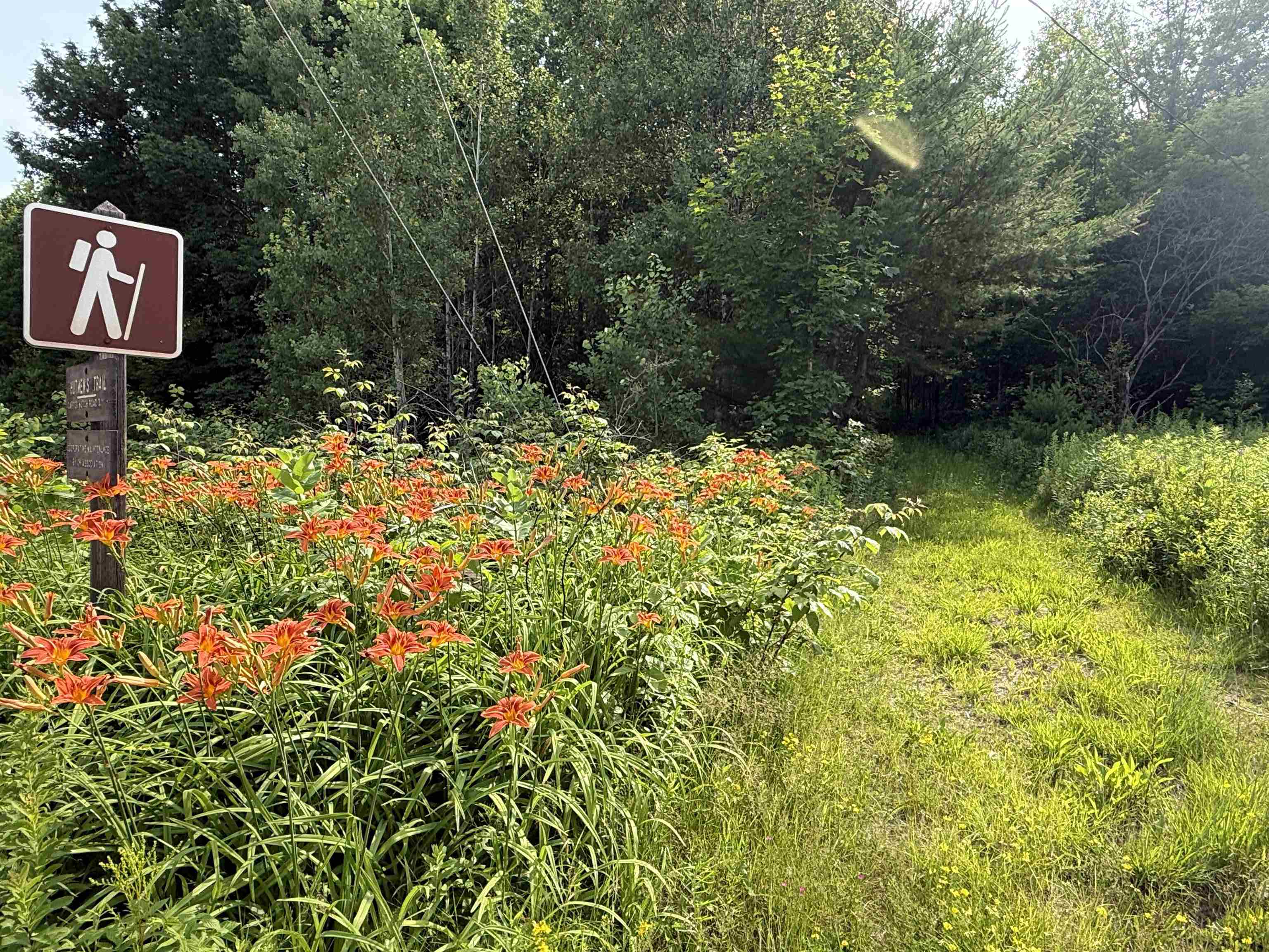 920 Highway 16 Jackson, NH 03846 - Photo 24 of 26
