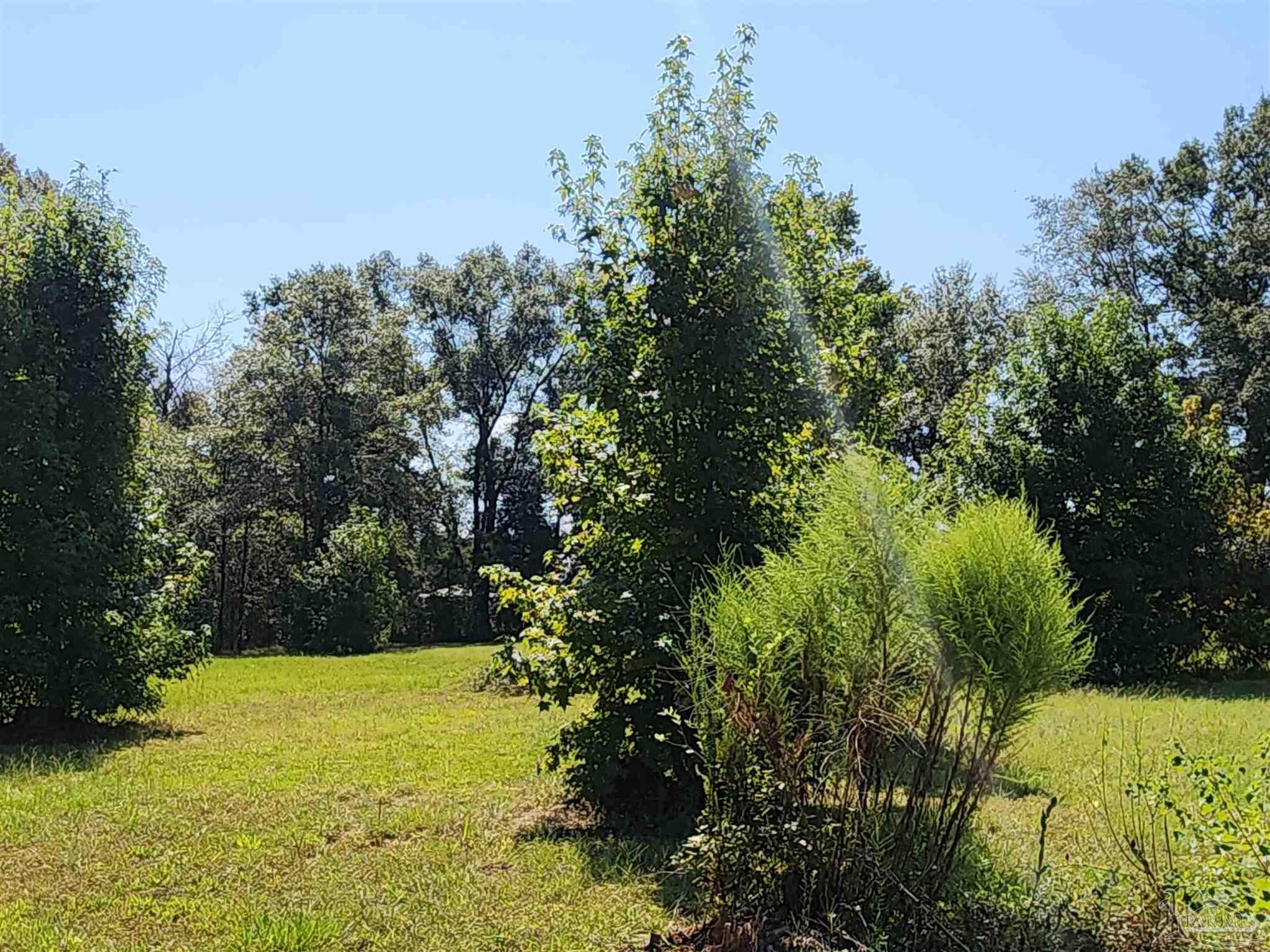 23595 County Road 47 Perdido, AL 36562 - Photo 16 of 72