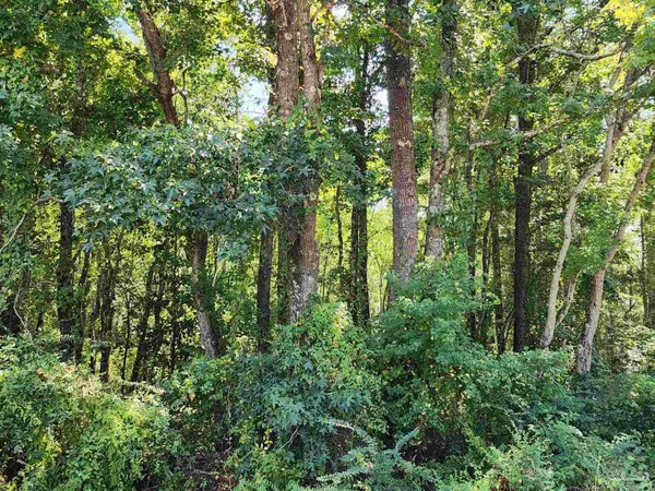 $209,000 | 23595 County Road 47, Perdido, AL 36562