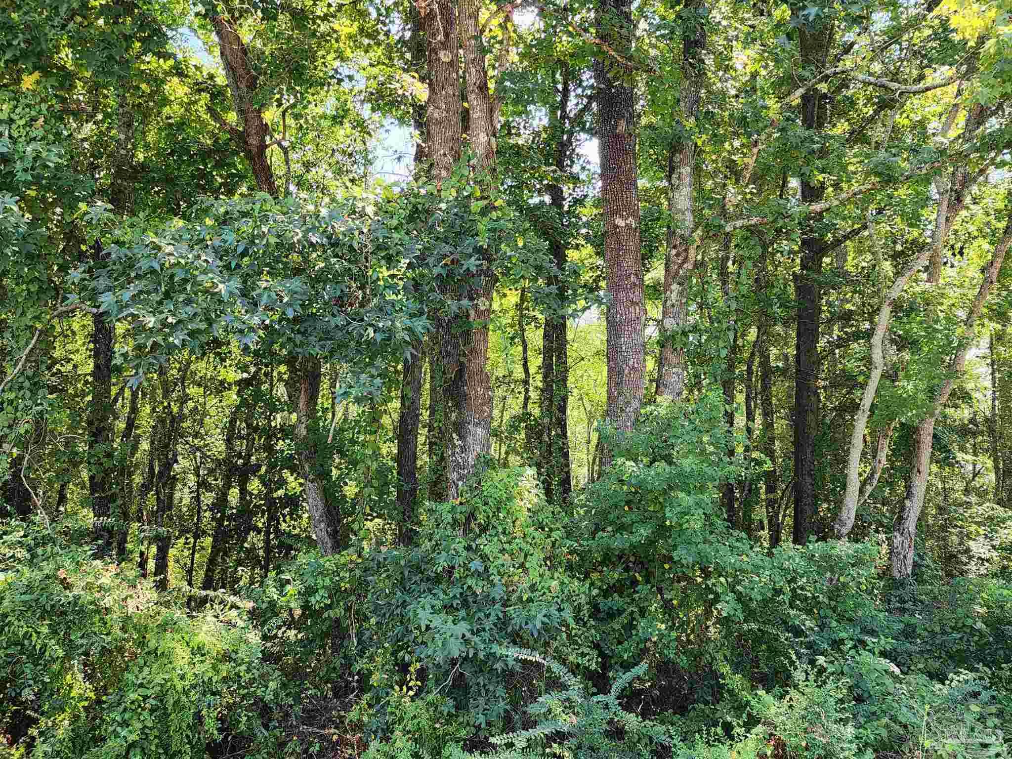 23595 County Road 47 Perdido, AL 36562 - Photo 56 of 72