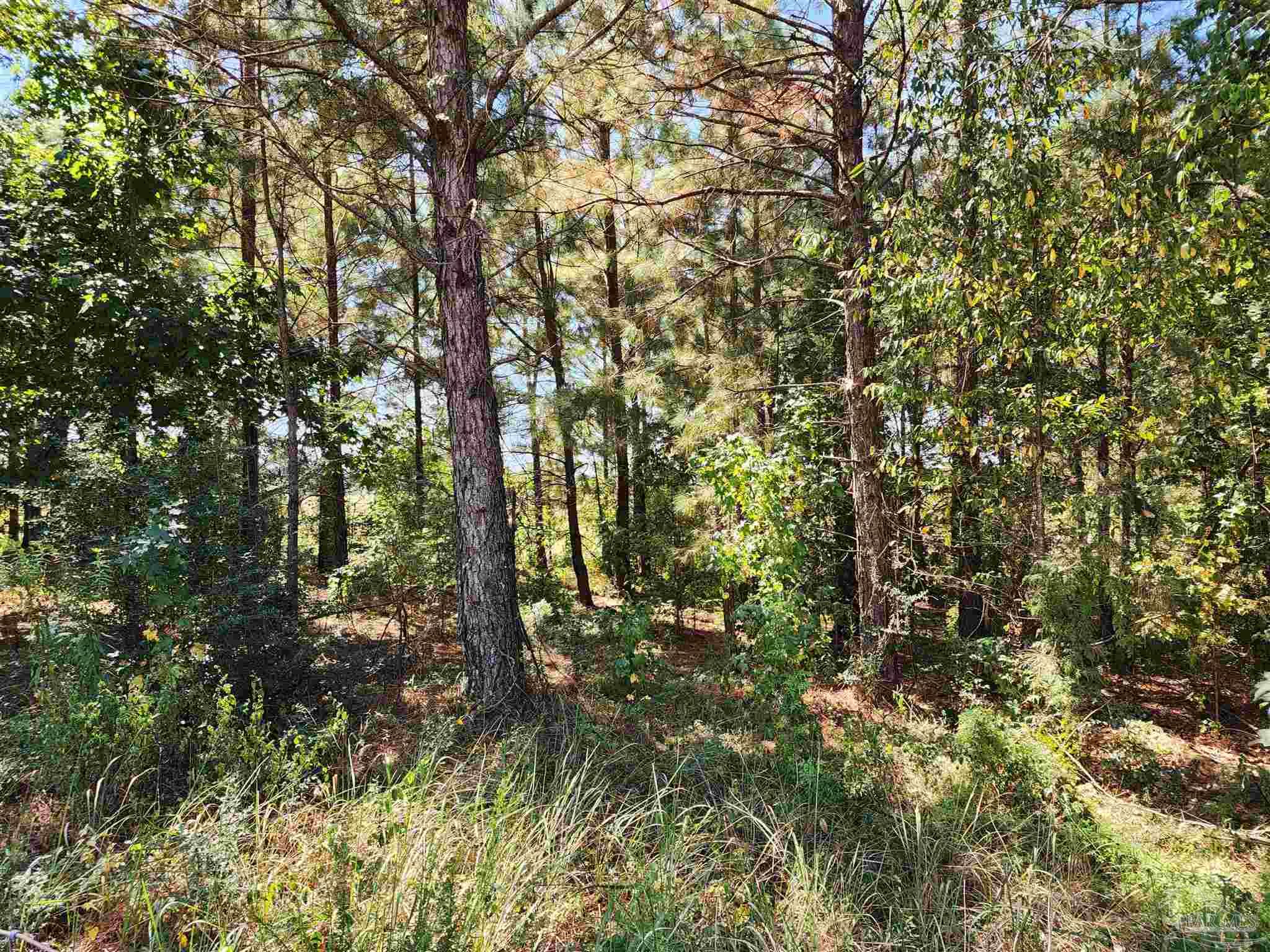 23595 County Road 47 Perdido, AL 36562 - Photo 61 of 72
