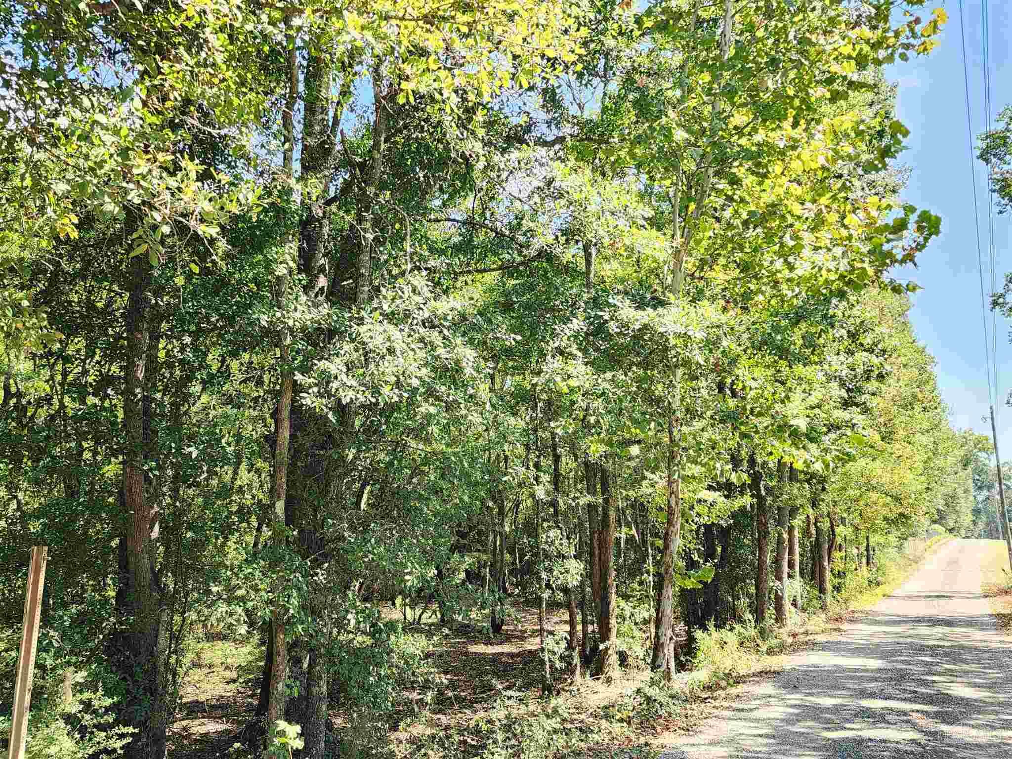 23595 County Road 47 Perdido, AL 36562 - Photo 63 of 72