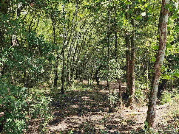 $209,000 | 23595 County Road 47, Perdido, AL 36562