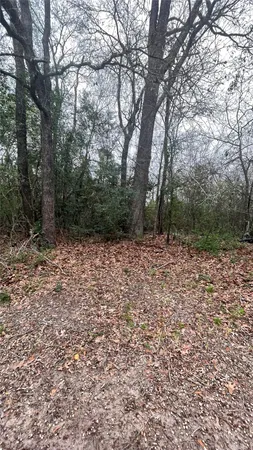 $1,000 | 1354 Farm To Market 405, Unit B, Huntsville, TX 77320
