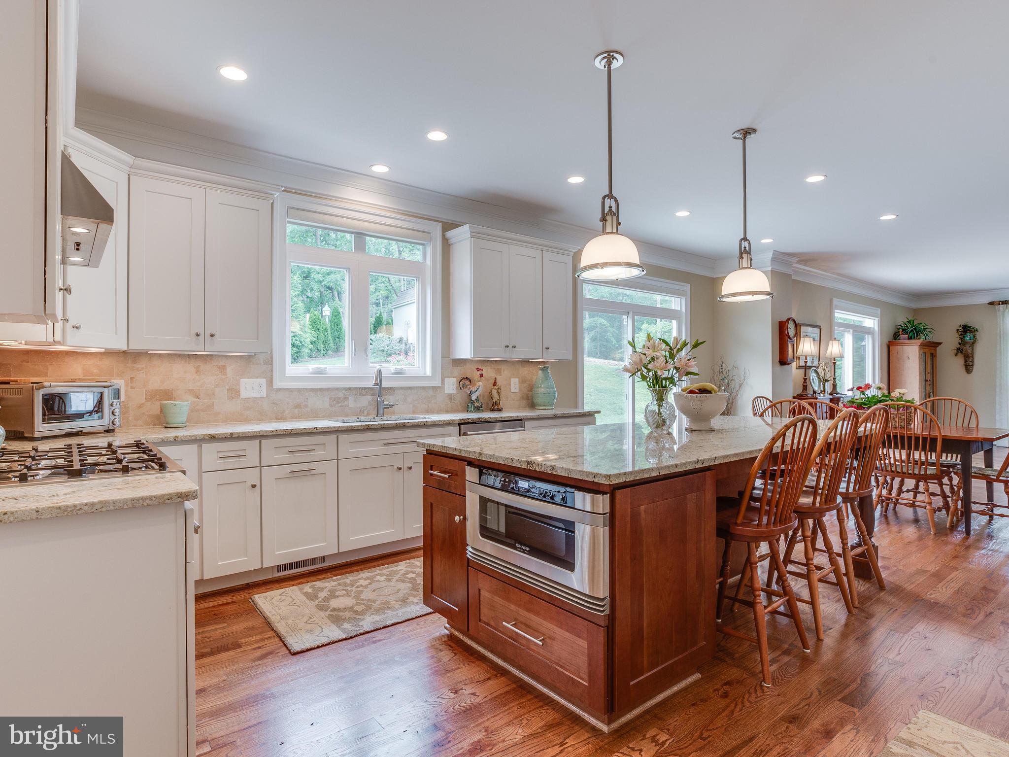 23965 New Mountain Road Aldie, VA 20105 - Photo 14 of 30 Kitchen
