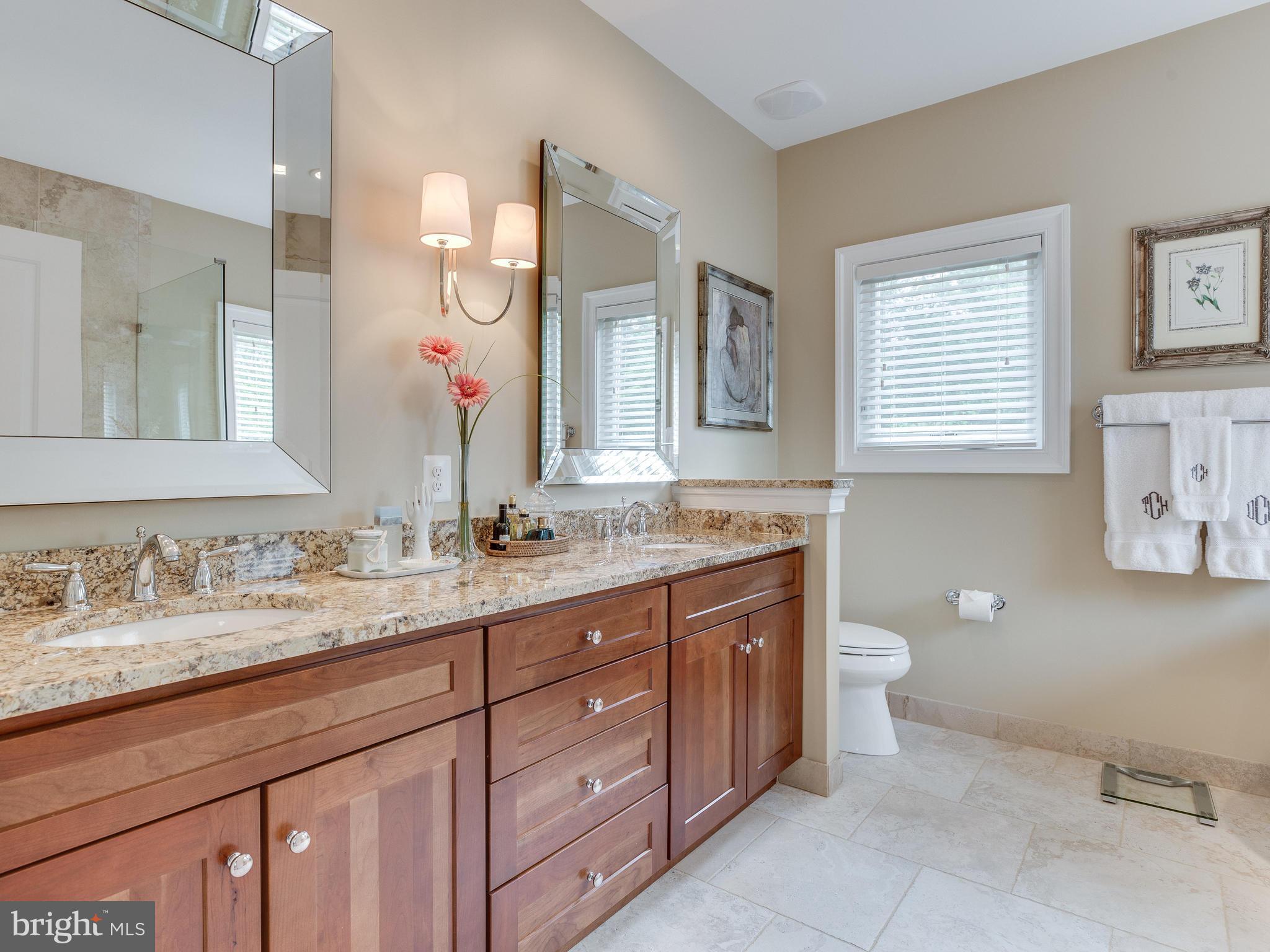 23965 New Mountain Road Aldie, VA 20105 - Photo 19 of 30 Bath (Master)