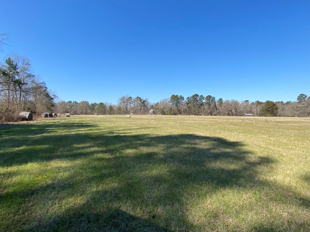 0 Herndon Road Waynesboro, GA 30830 - Photo 3 of 10 Gallery Image 3