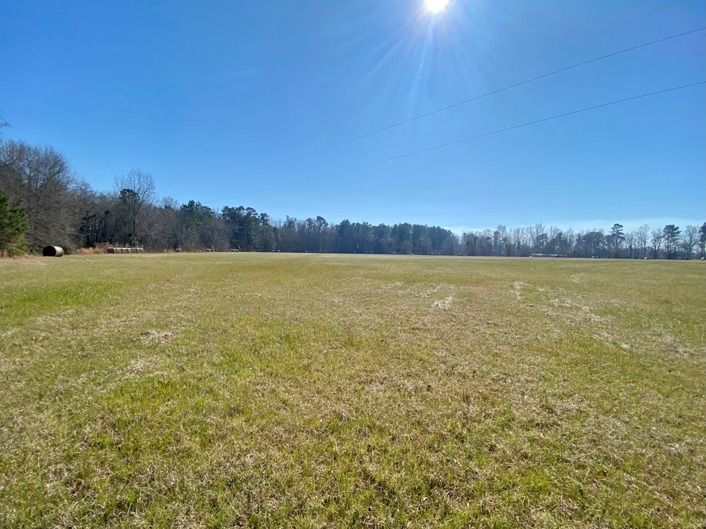 0 Herndon Road Waynesboro, GA 30830 - Photo 4 of 10 Gallery Image 4