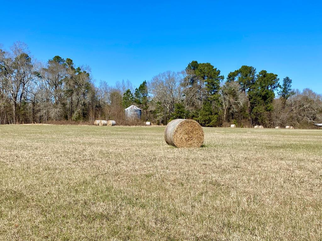0 Herndon Road Waynesboro, GA 30830 - Photo 10 of 10 Gallery Image 10
