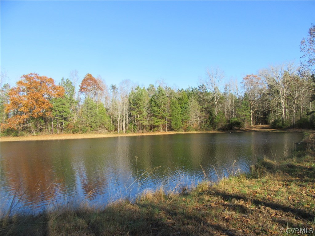 7659 Jerusalem Plank Road Disputanta, VA 23842 - Photo 13 of 42 Gallery Image 13