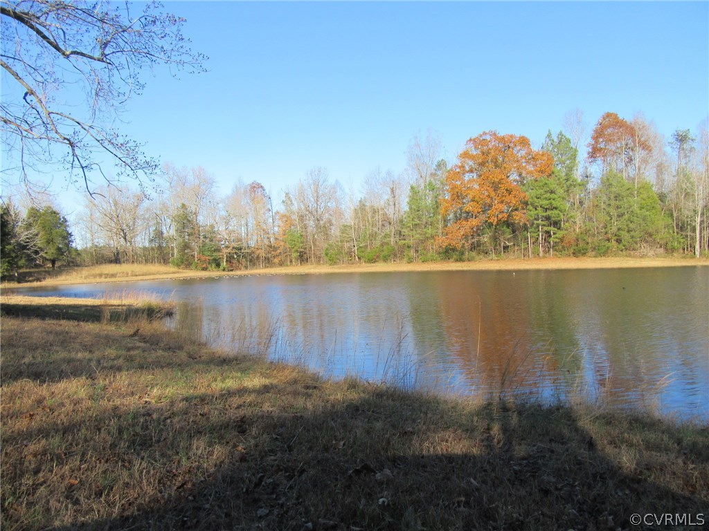 7659 Jerusalem Plank Road Disputanta, VA 23842 - Photo 14 of 42 Gallery Image 14
