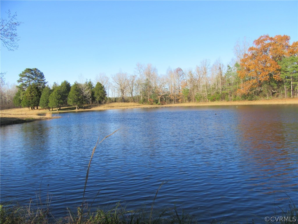 7659 Jerusalem Plank Road Disputanta, VA 23842 - Photo 15 of 42 Gallery Image 15