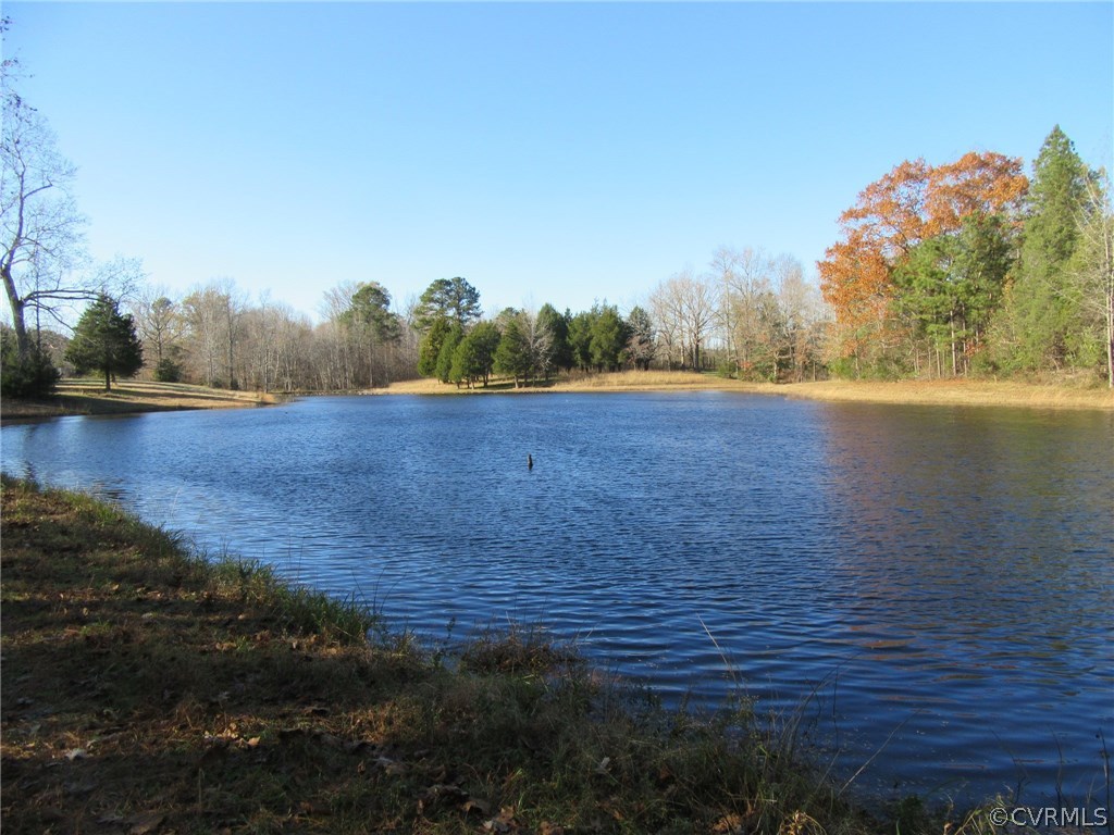 7659 Jerusalem Plank Road Disputanta, VA 23842 - Photo 2 of 42 Gallery Image 2