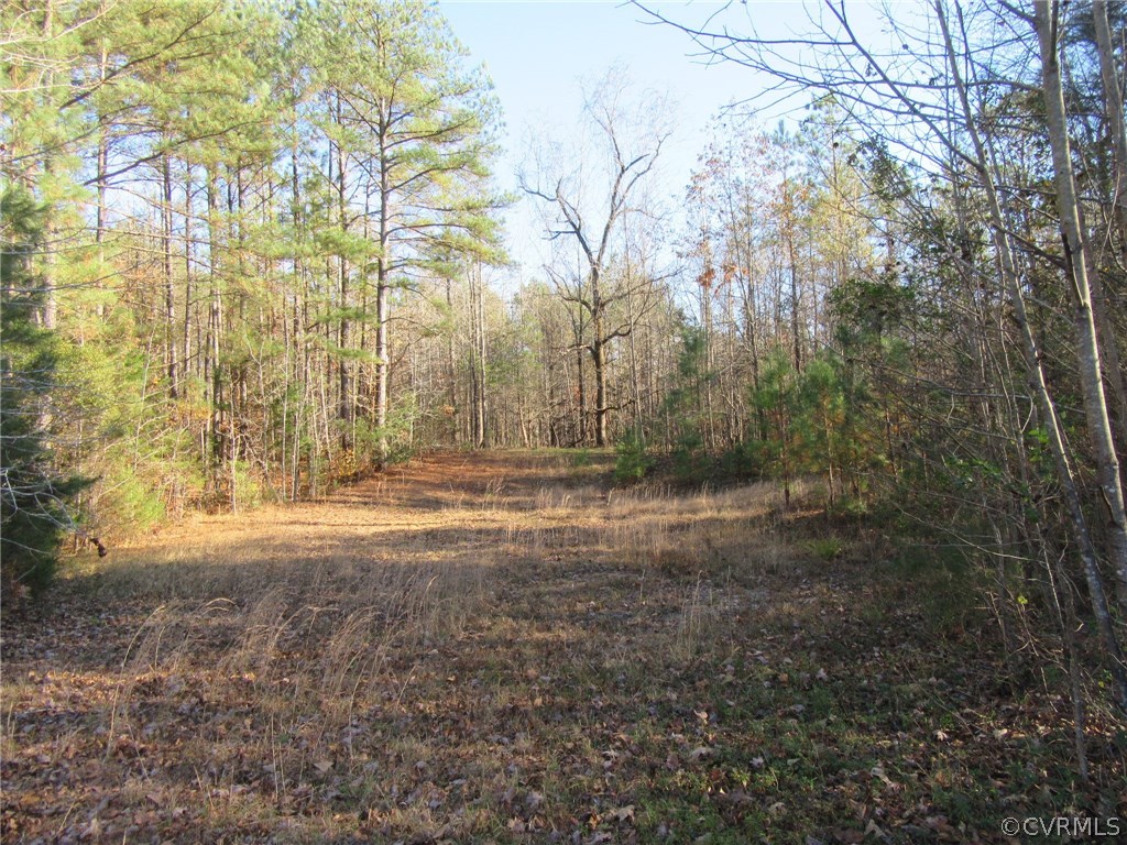 7659 Jerusalem Plank Road Disputanta, VA 23842 - Photo 27 of 42 Gallery Image 27