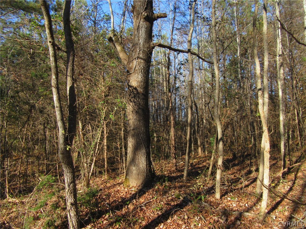 7659 Jerusalem Plank Road Disputanta, VA 23842 - Photo 29 of 42 Gallery Image 29