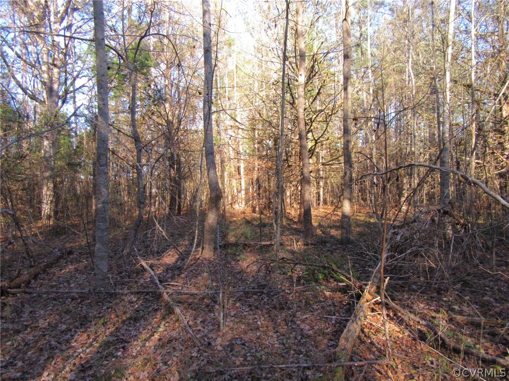 7659 Jerusalem Plank Road Disputanta, VA 23842 - Photo 30 of 42 Gallery Image 30