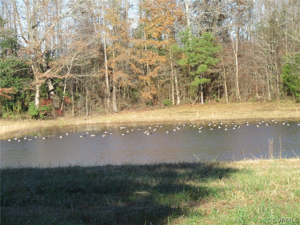 7659 Jerusalem Plank Road Disputanta, VA 23842 - Photo 3 of 42 Gallery Image 3