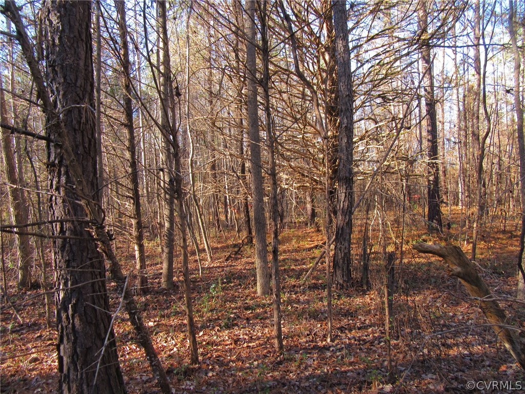 7659 Jerusalem Plank Road Disputanta, VA 23842 - Photo 31 of 42 Gallery Image 31