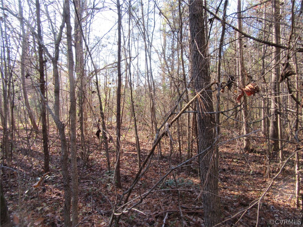 7659 Jerusalem Plank Road Disputanta, VA 23842 - Photo 32 of 42 Gallery Image 32