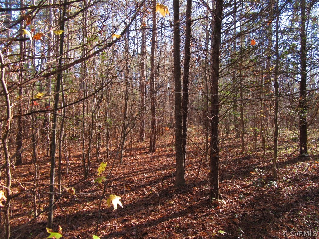 7659 Jerusalem Plank Road Disputanta, VA 23842 - Photo 33 of 42 Gallery Image 33