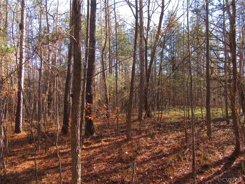 7659 Jerusalem Plank Road Disputanta, VA 23842 - Photo 34 of 42 Gallery Image 34
