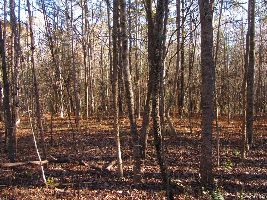 7659 Jerusalem Plank Road Disputanta, VA 23842 - Photo 36 of 42 Gallery Image 36