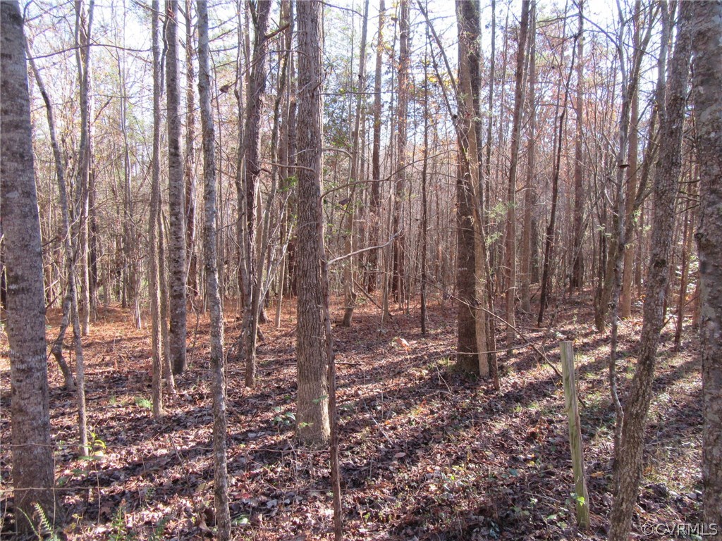 7659 Jerusalem Plank Road Disputanta, VA 23842 - Photo 37 of 42 Gallery Image 37